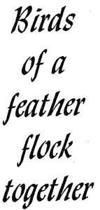 散片橡胶印章 鸟邮票 鸟名言 友谊名言 自然 Ebay