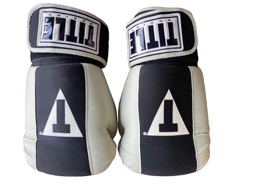 Title Boxing Gloves 12 Oz Kickboxing MMA Aerovent Blue Size Large