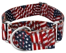 Country Brook Petz® HossFit Jr Wide Martingale Dog Collar