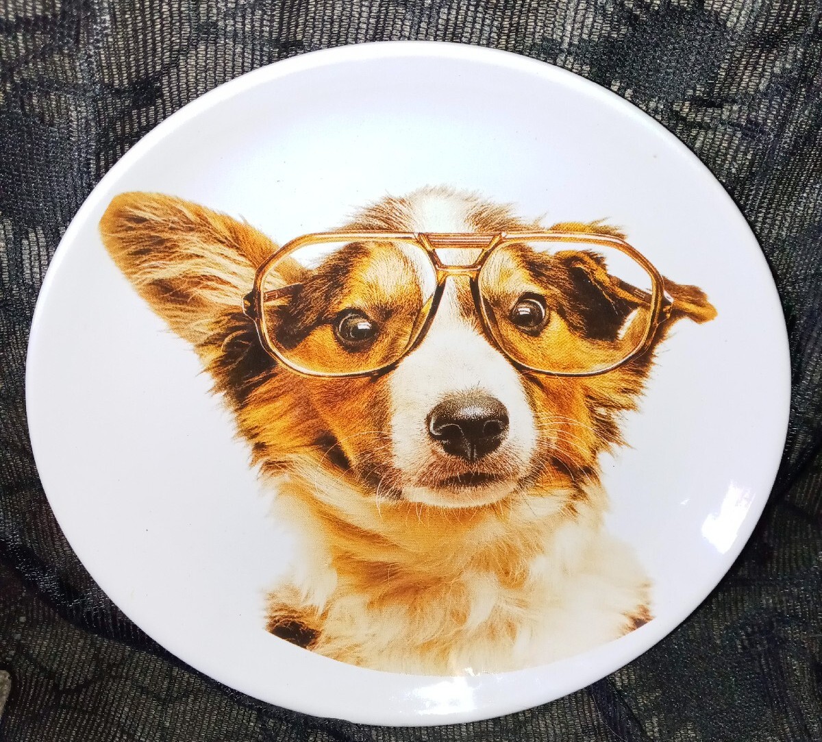 Adorable! Corgi Dog Wearing Glasses Plate