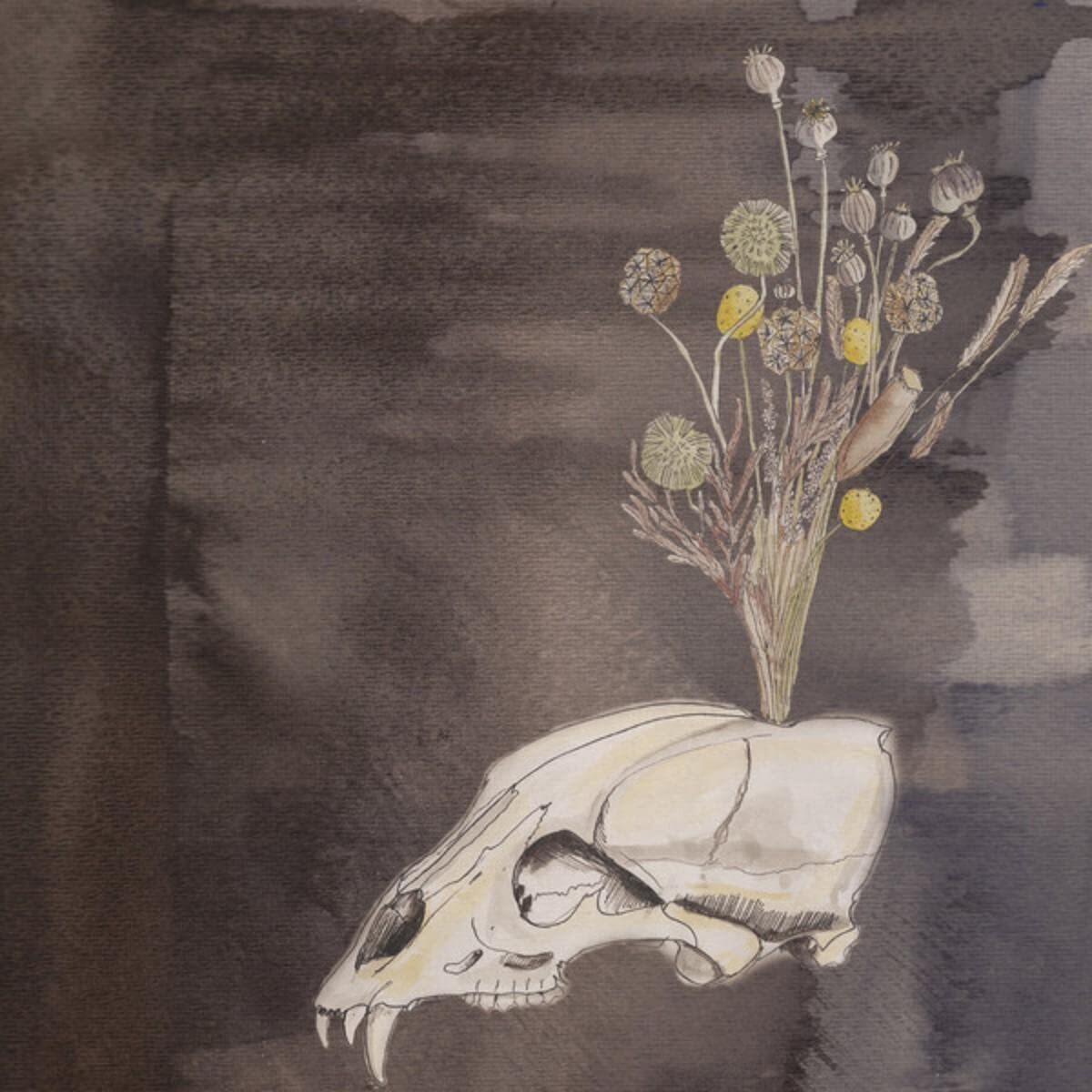 Steve Gunn & the Black Twig Pickers Seasonal Hire (Vinyl LP)