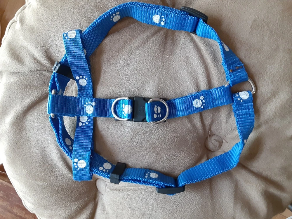 dog harness for S/M dog