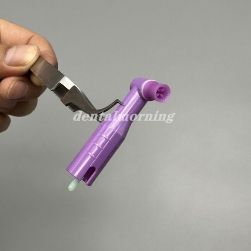 100Pcs Dental Disposable Prophy Angles Soft Cup Latex Free Right Angle 90° angle - Picture 18 of 24
