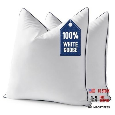 Goose Feather Down0x0 Pillow Insert Set of with 100% Down-Proof 20x20 Inch 2