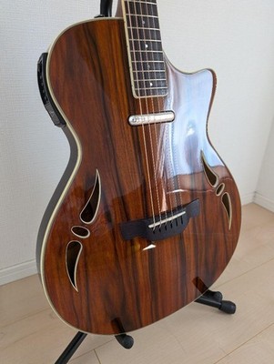 ギター Crafter SA-ARW s-l400.jpg