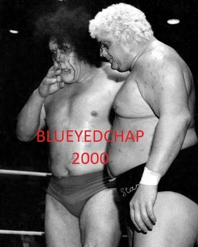 ANDRE THE GIANT & DUSTY RHODES WRESTLER 8 X 10 WRESTLING PHOTO NWA - Image 1 of 1