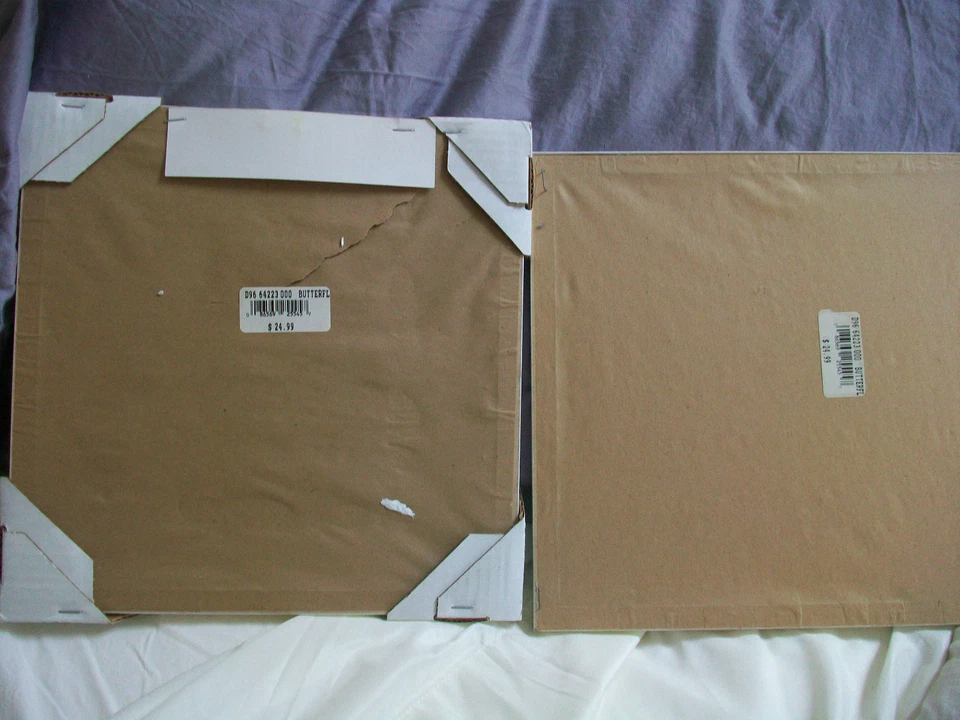 Lot of 2  Butterflies Pictures White Frames Approx 8 x 8 - Image 3 of 3