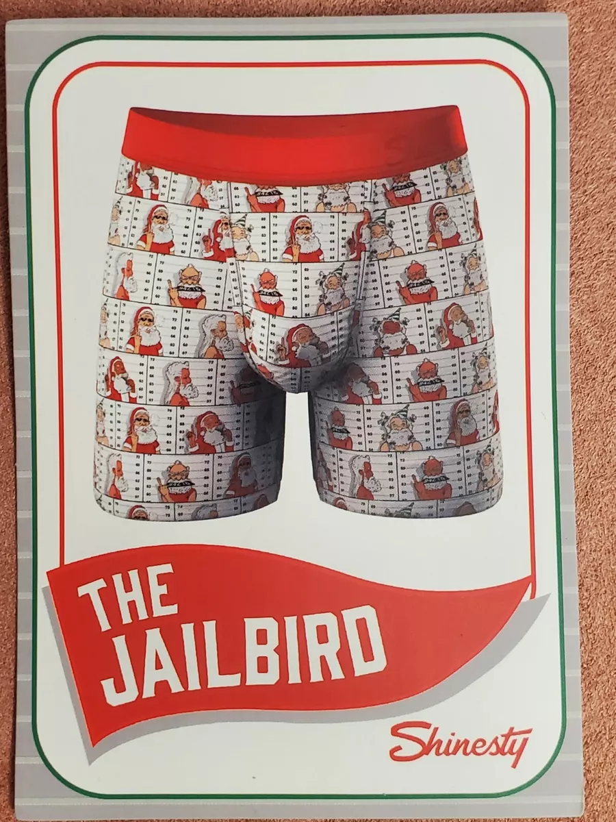 Shinesty Mens Pouch Briefs - The Jailbird Ball Hammock Underwear