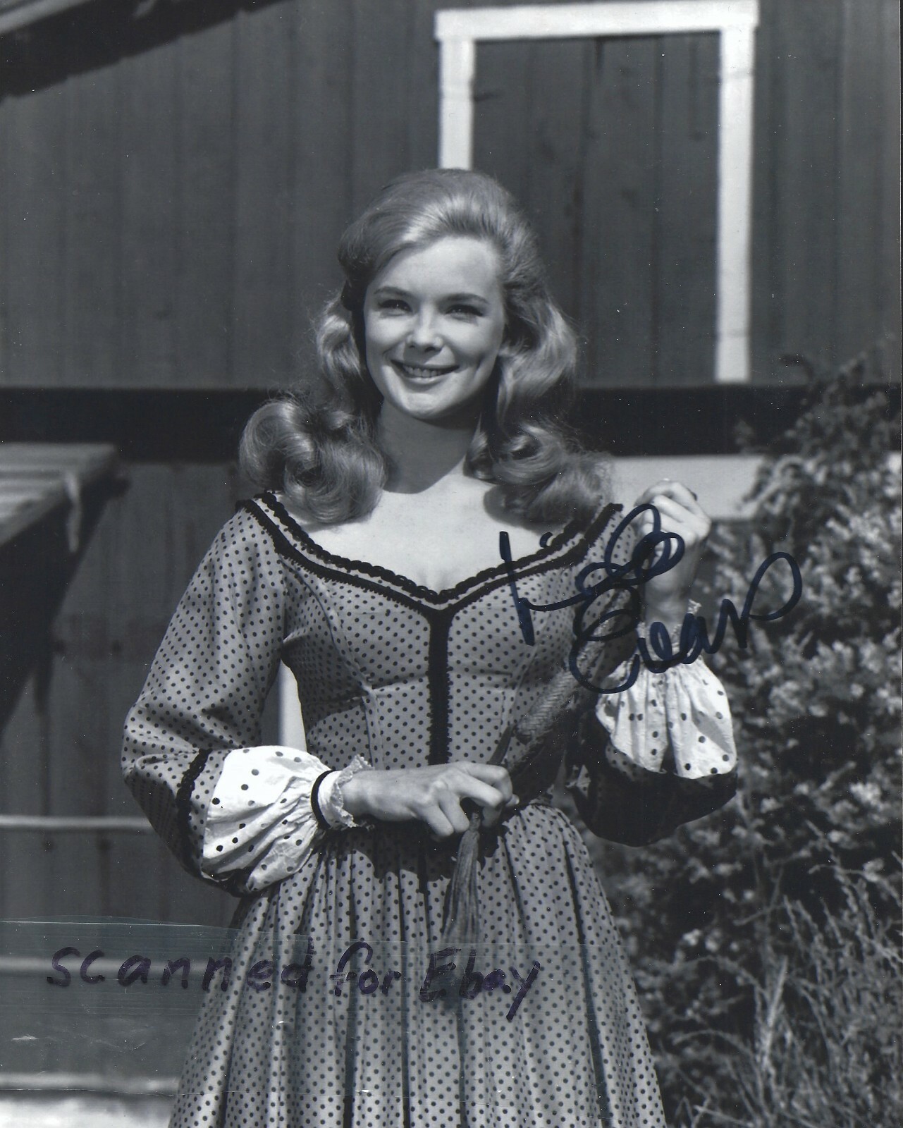 Dynasty-The Big Valley-Linda Evans-Signed-8X10-Audra-Krystle-Beach Blanket Bingo