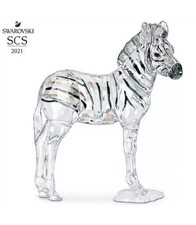 SWAROVSKI SCS 2021 ELEGANZA D'AFRICA 'ZEBRA BABY ZURI'
