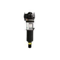 Luftfederbein Arnott Europe AS-2864