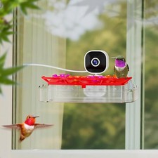 Smart Hummingbird Feeder with Camera , AI Identify, Instant Notific