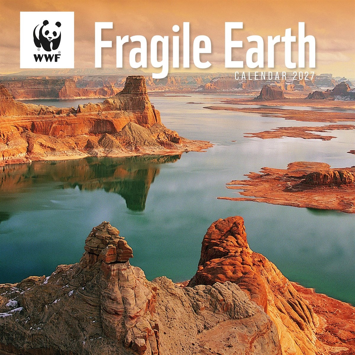 WWF, Fragile Earth Calendar 2027, Wall Calendars, Month To View, Gift