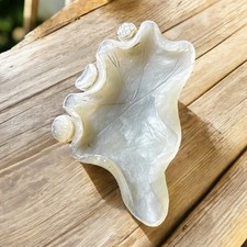 Stone Material White Decorative Bowl Sea Theme Abstract Shape Home Accent