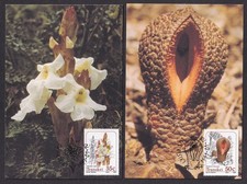 Transkei 1991 Flowers maximum cards (4)