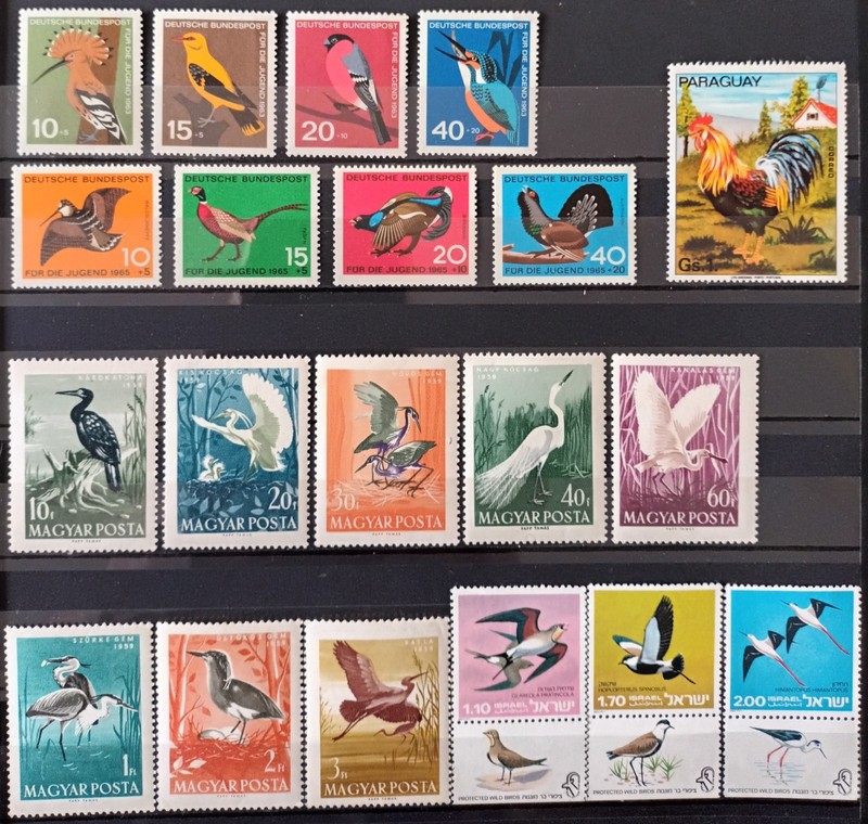 BIRDS OF PREY, OWLS. COLLECTION: 41 STAMPS (10 FULL ISSUES). MNH. LOT IN GERMANY