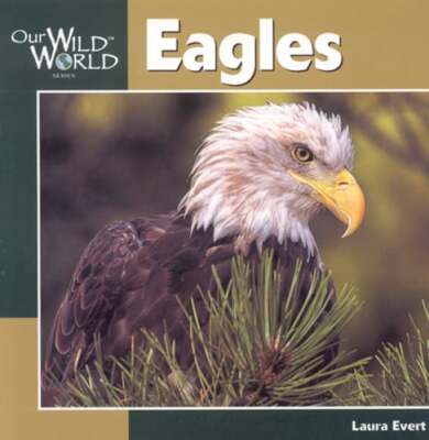 Eagles by Laura Evert: New