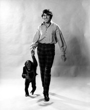 Doctor Dolittle Unsigned photo - Anthony Newley - Donation to Charity *6