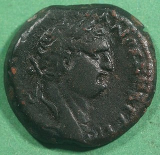 Roman Provincial ae23 Bronze Diobol of Titus SERAPIS @0700