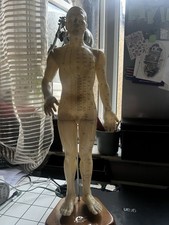 Large 55cm Traditional Chinese Acupuncture Meridian Model on Wooden Base base.