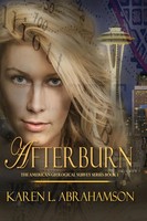 Karen L Abrahamson | Afterburn | Taschenbuch | Englisch (2013)