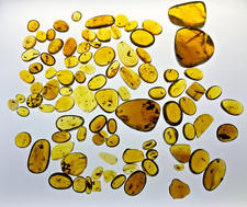 A101 BU93group 93 polished stones w/insects 164g Burmese Amber Burmite 99mya