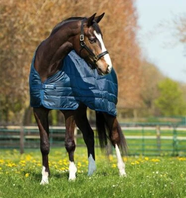 HORSEWARE IRELAND Horseware Liner 300g