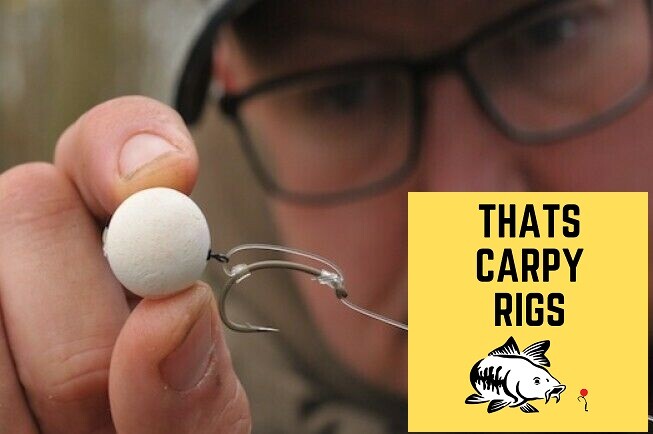 10 x Danny Fairbrass Korda Style IQ2 D Rig Ready Made Carp