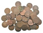 (50) 1890 - 1899’s Era Indian Head Cents Penny Lot Collection US Coin Roll *284