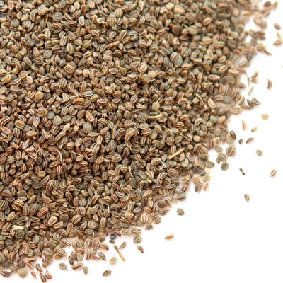 Celery Seed | Bulk | Spice Jungle