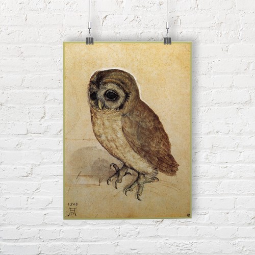 Albrecht Durer: The Little Owl. Fine Art Print/Poster - 第 1/1 張圖片