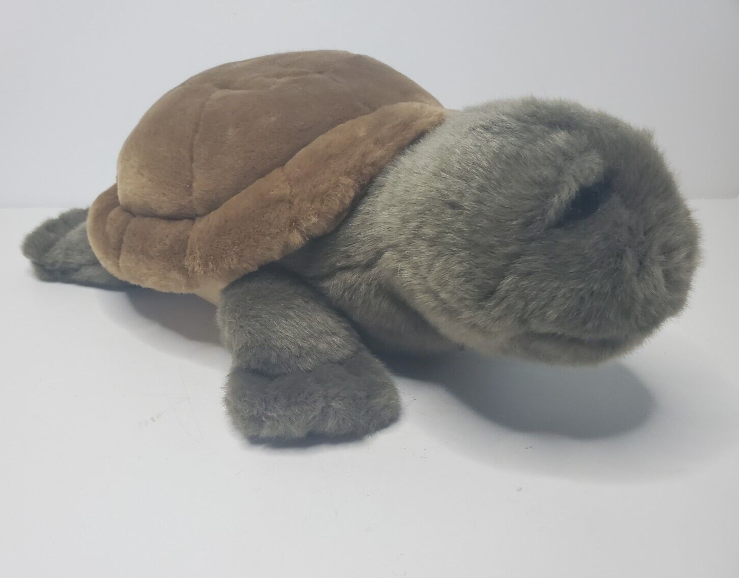 dakin lou rankin friends