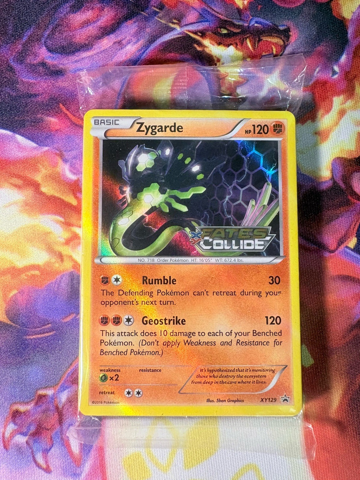 POKEMON ZYGARDE PRERELEASE BLACK STAR PROMO XY129 FATES COLLIDE SEALED ⭐️ 
