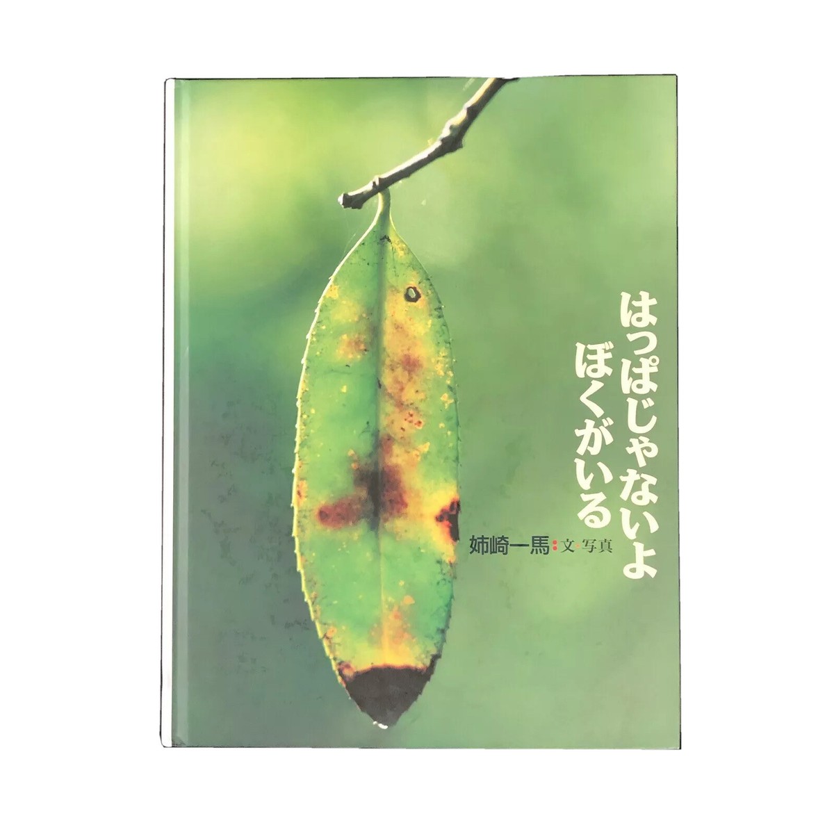 絵本・児童書 kana Japanese Children Book Happa janai yo boku ga iru Kazuma