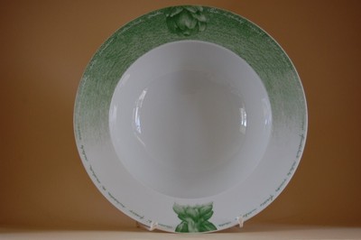 Servierschale Schale 32/10cm Amici Piccante Thomas Porzellan NEU 1. Wahl