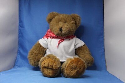 Build A Bear Bear with Jean Pants, White T-shirt, and Red Bandana 17 inches