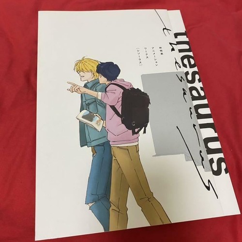 Akemi Hayashi Animation Works ThesaurusBuch Banana Fish