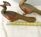 Picture 6 of 6