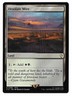 MTG Desolate Mire Final Fantasy Commander (FIC) Rare Magic Card #0386 Unplayed