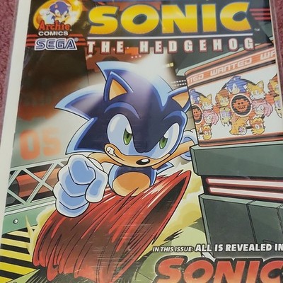 Archie Comics Sonic the Hedgehog & Mega Man X #5 Sally-The Exiled Leader
