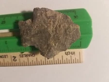 DAMAGED NATIVE AMERICAN INDIAN ARTIFACT FOUND IN EASTERN NC BRN/8