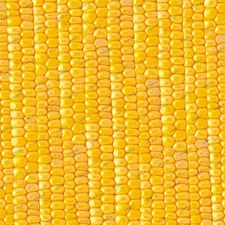 Sweet Corn 23 - 18"x46" Hydrographic Film Hydro Dipping