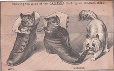 AST Co Black Tip Shoes Dog Kittens F G Fletcher Burlington VT Vict Card c1880s