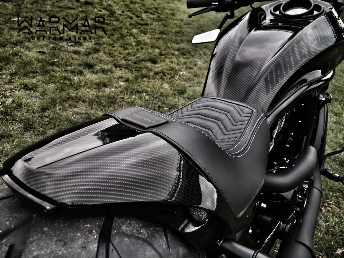 HARLEY-DAVIDSON V-ROD CUSTOM REAR FENDER 07-17 VRSCDX VROD VRSC