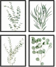 Botanical Wall Prints - Set of 4 Botanical Wall Decor Prints Black Frame, 8x10 