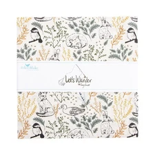 Riley Blake Designs 10-16880-42 Let's Wonder precut 10 Inch Stacker by Casey Cor