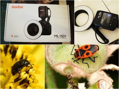 Godox Makro-Ringblitz ML-150II -  Top Zustand (neuwertig) Nikon - Canon - Sony