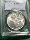 1884-O MORGAN Silver Dollar **PCGS MS64** FREE SHIPPING!
