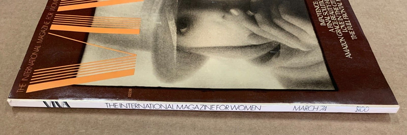 VIVA magazine - March 1974