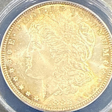 1883 Morgan toned silver Dollar $1 ANACS MS64 Certified Slab Coin Cert #6217264